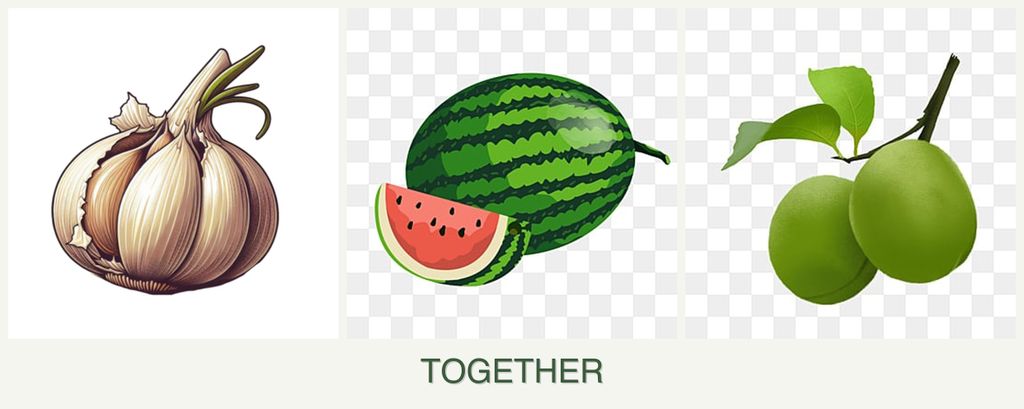 Can you plant garlic, melons and plums together?