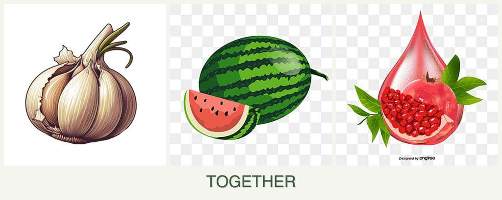Can you plant garlic, melons and pomegranates together?