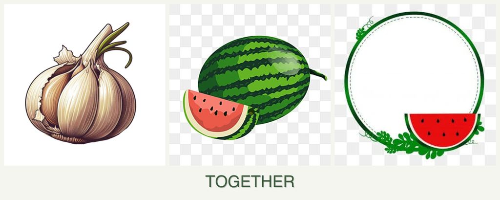 Can you plant garlic, melons and watermelons together?