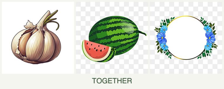 Can you plant garlic, melons and zinnias together?