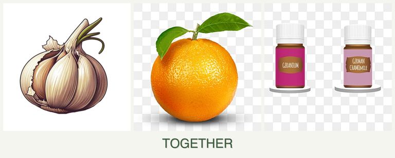 Can you plant garlic, oranges and geraniums together?
