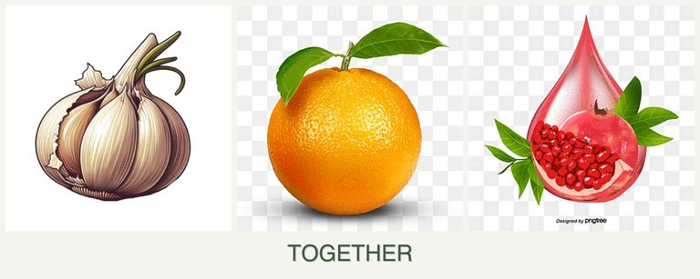 Can you plant garlic, oranges and pomegranates together?