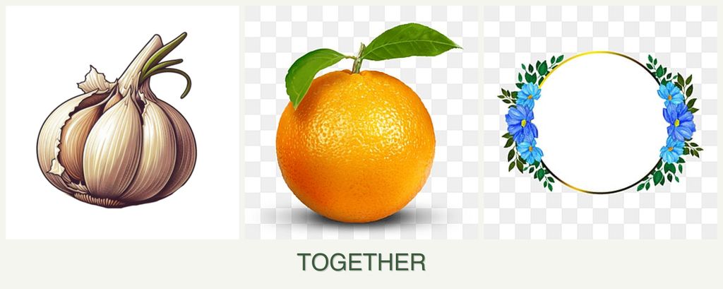 Can you plant garlic, oranges and zinnias together?