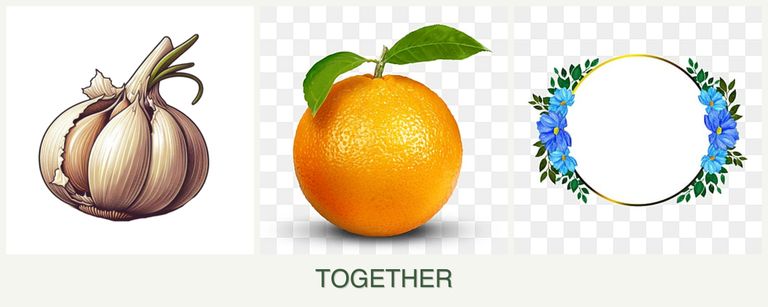 Can you plant garlic, oranges and zinnias together?