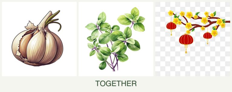 Can you plant garlic, oregano and apricots together?