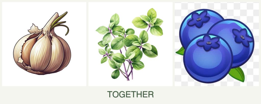 Can you plant garlic, oregano and blueberries together?