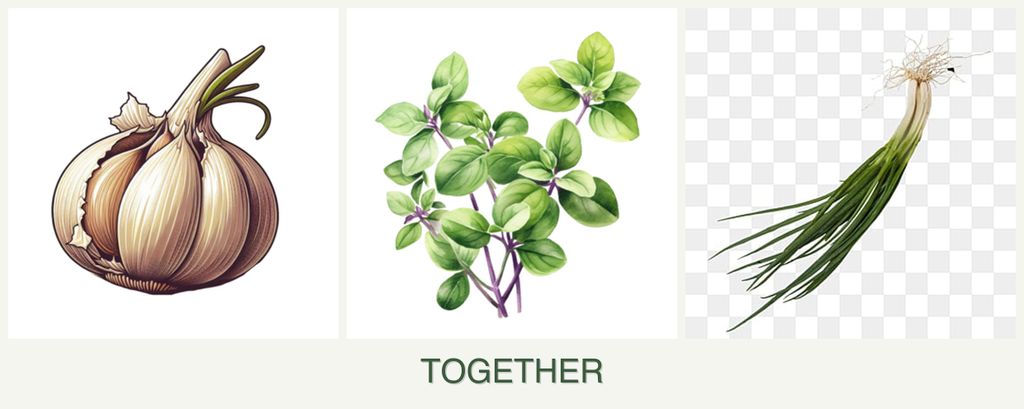 Can you plant garlic, oregano and chives together?