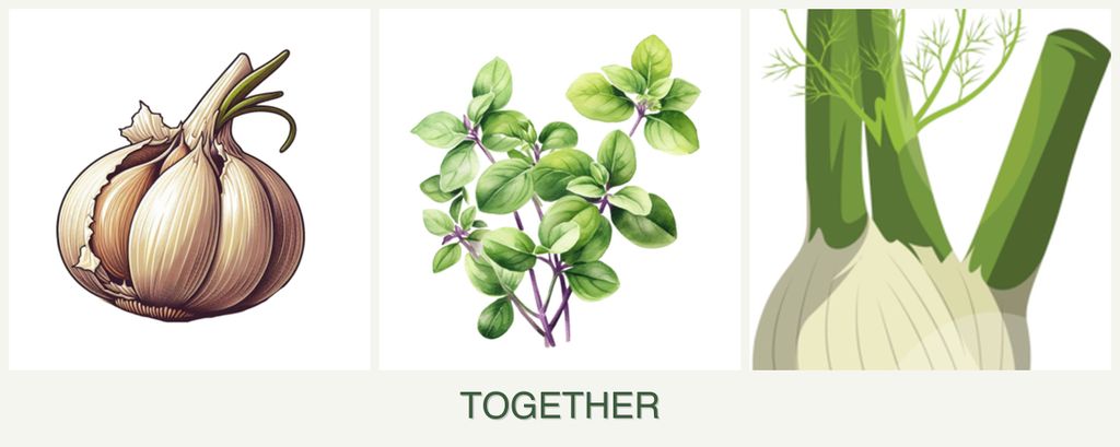 Can you plant garlic, oregano and fennel together?