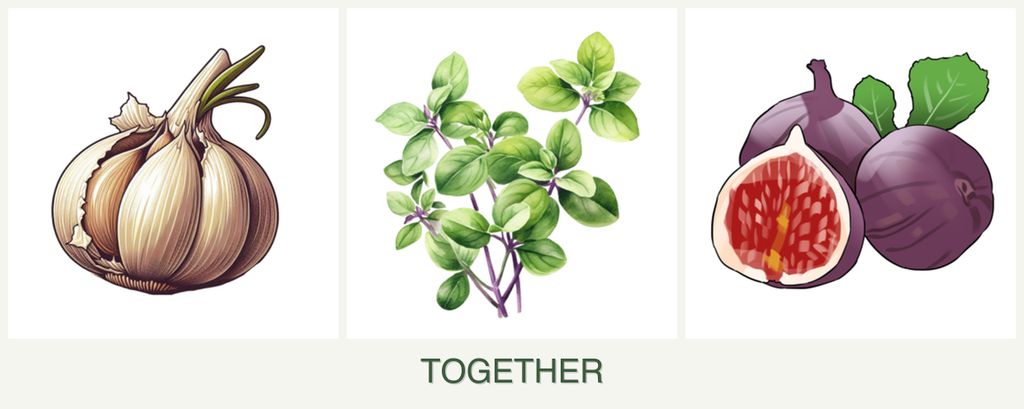 Can you plant garlic, oregano and figs together?