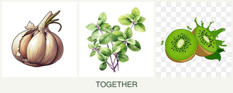 Can you plant garlic, oregano and kiwi together?