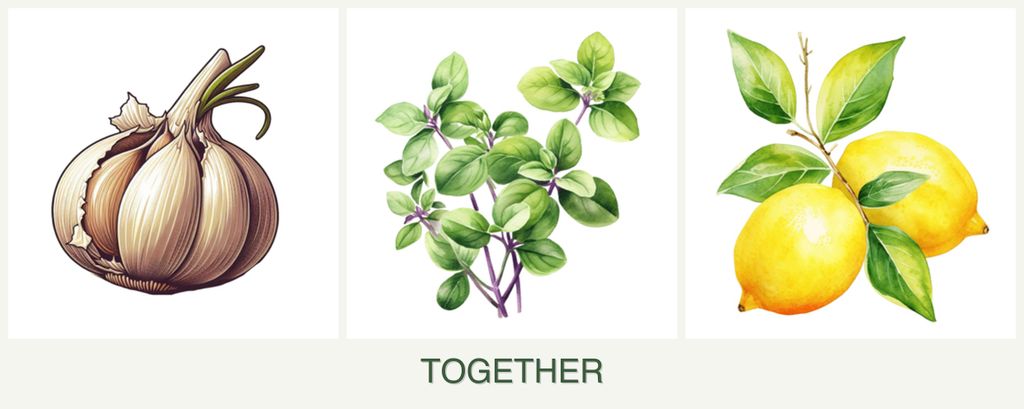 Can you plant garlic, oregano and lemons together?