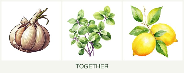 Can you plant garlic, oregano and lemons together?