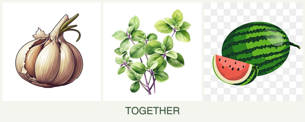 Can you plant garlic, oregano and melons together?