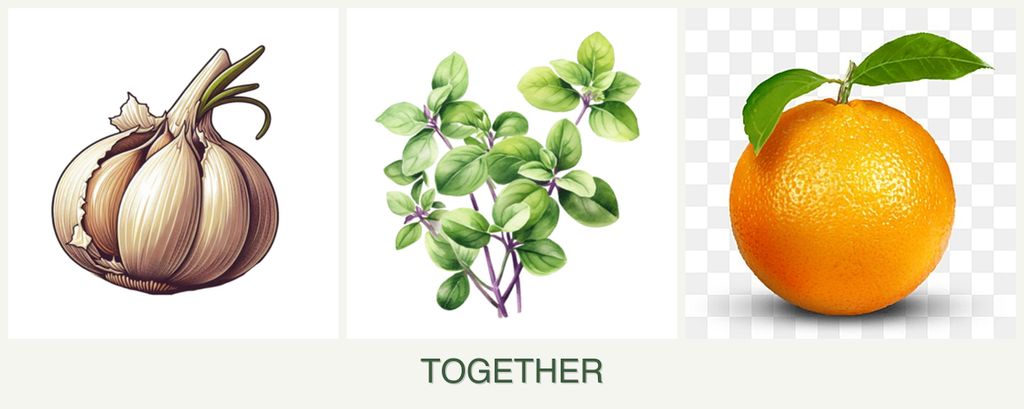 Can you plant garlic, oregano and oranges together?