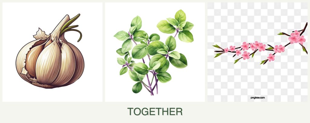Can you plant garlic, oregano and peaches together?