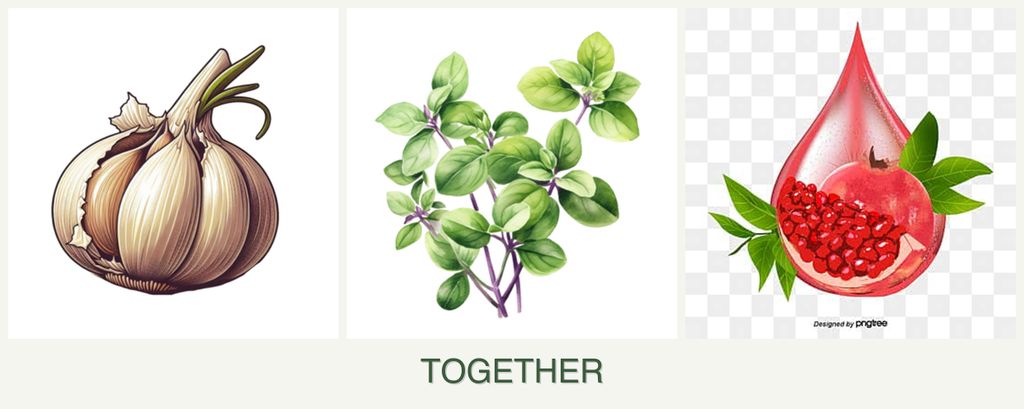 Can you plant garlic, oregano and pomegranates together?