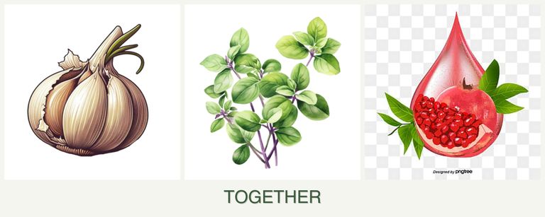 Can you plant garlic, oregano and pomegranates together?