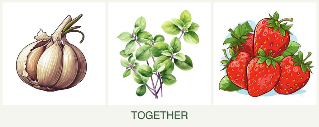 Can you plant garlic, oregano and strawberries together?