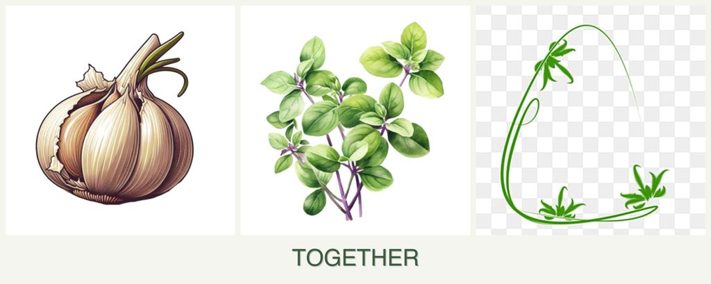 Can you plant garlic, oregano and tarragon together?