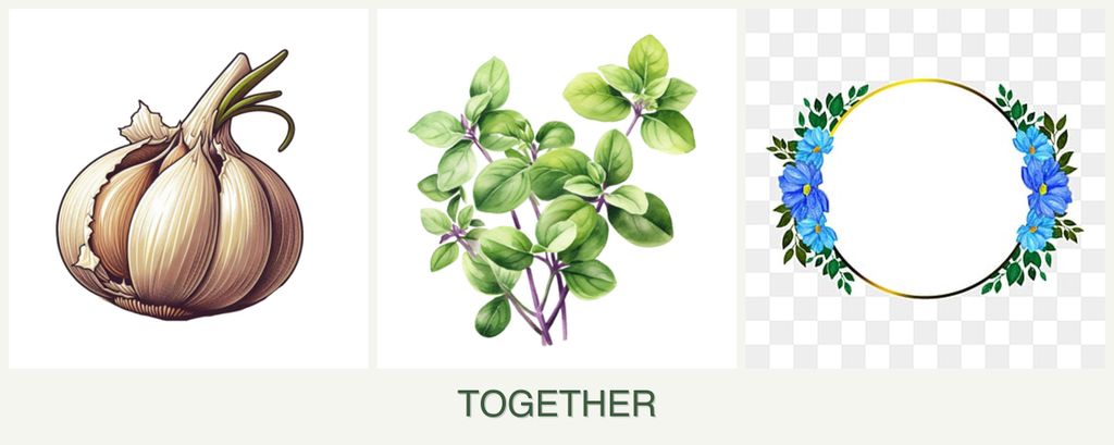 Can you plant garlic, oregano and zinnias together?