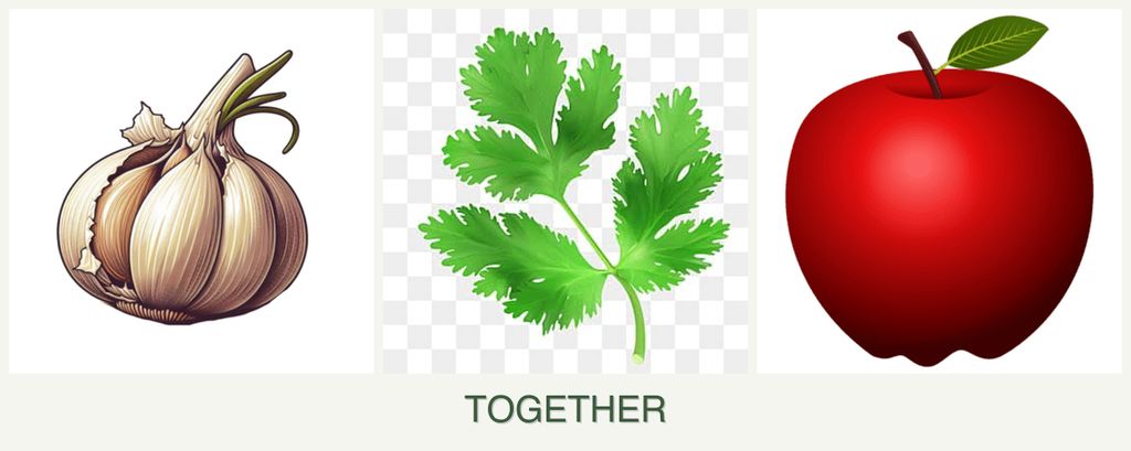 Can you plant garlic, parsley and apples together?