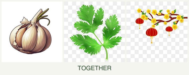 Can you plant garlic, parsley and apricots together?
