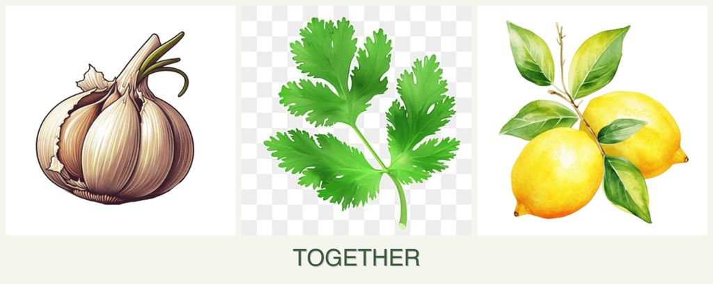 Can you plant garlic, parsley and lemons together?