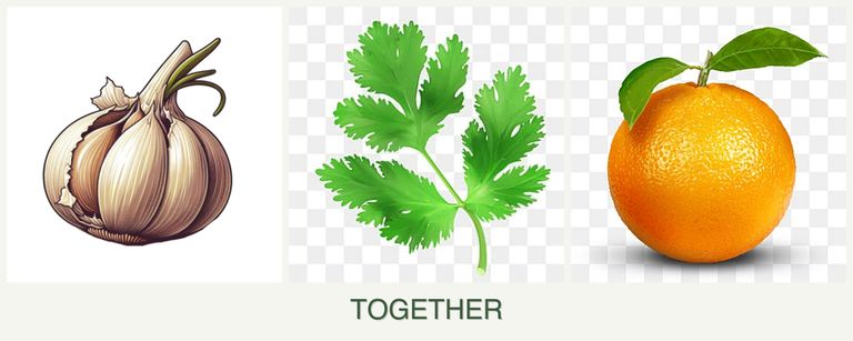 Can you plant garlic, parsley and oranges together?