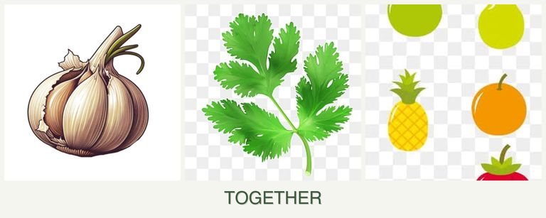 Can you plant garlic, parsley and pears together?