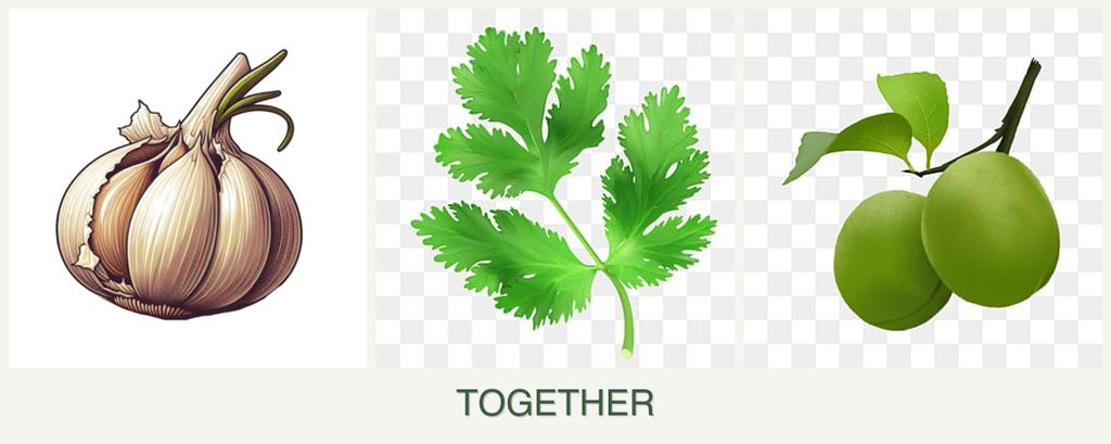 Can you plant garlic, parsley and plums together?