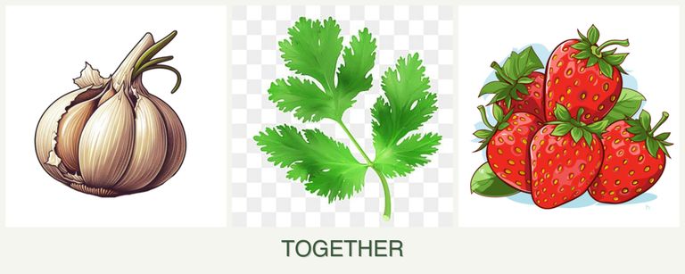Can you plant garlic, parsley and strawberries together?