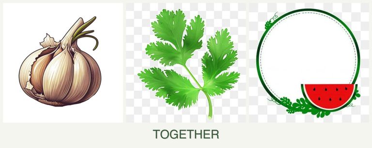 Can you plant garlic, parsley and watermelons together?