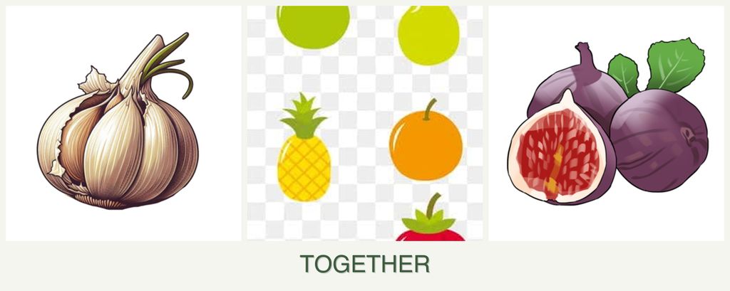 Can you plant garlic, pears and figs together?