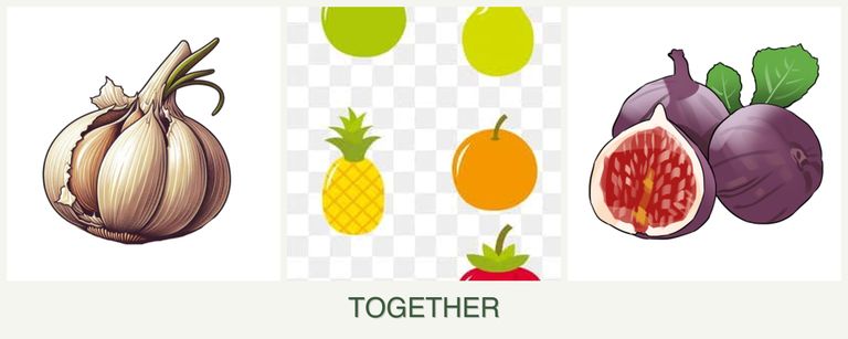 Can you plant garlic, pears and figs together?