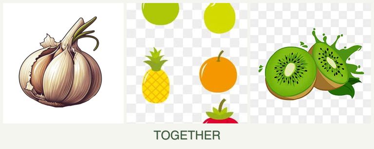 Can you plant garlic, pears and kiwi together?