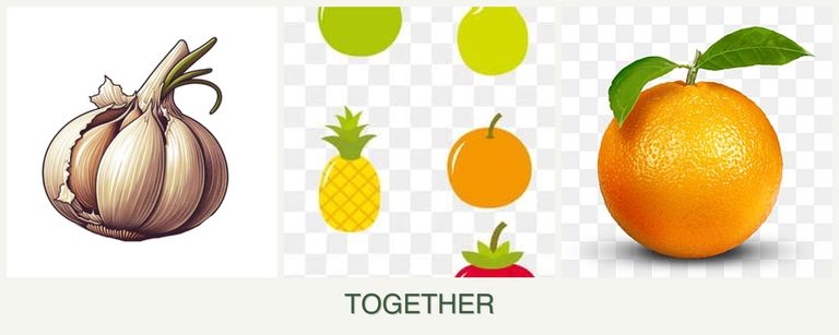Can you plant garlic, pears and oranges together?