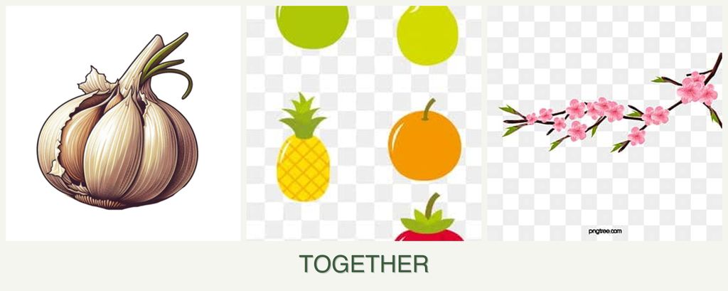 Can you plant garlic, pears and peaches together?
