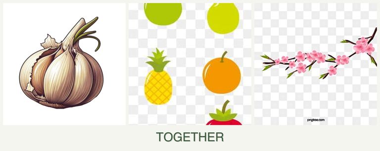 Can you plant garlic, pears and peaches together?