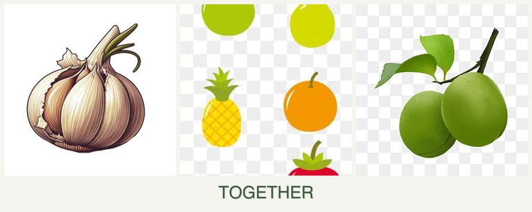 Can you plant garlic, pears and plums together?