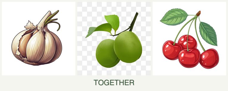 Can you plant garlic, plums and cherries together?