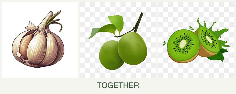 Can you plant garlic, plums and kiwi together?