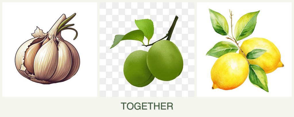 Can you plant garlic, plums and lemons together?
