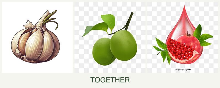 Can you plant garlic, plums and pomegranates together?