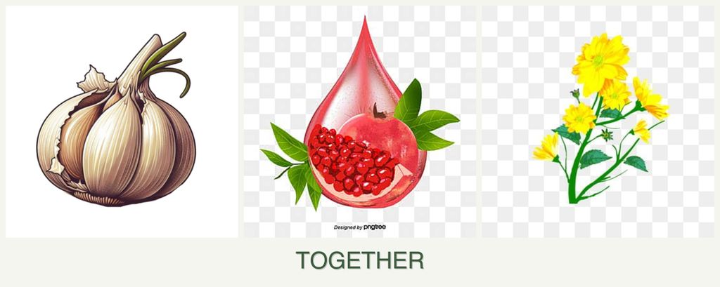 Can you plant garlic, pomegranates and calendula together?