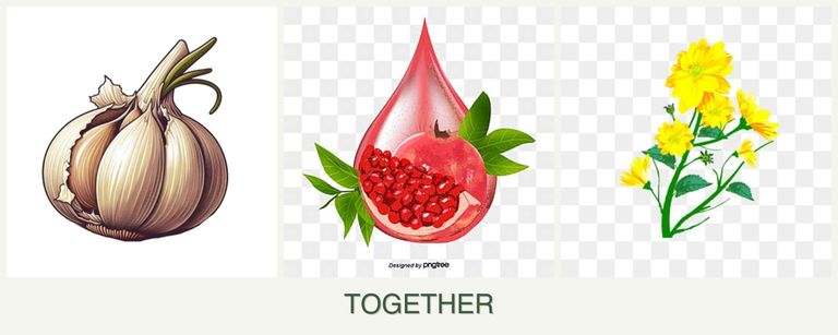 Can you plant garlic, pomegranates and calendula together?