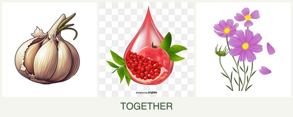 Can you plant garlic, pomegranates and cosmos together?