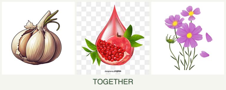 Can you plant garlic, pomegranates and cosmos together?