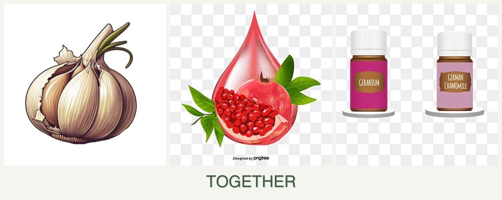 Can you plant garlic, pomegranates and geraniums together?