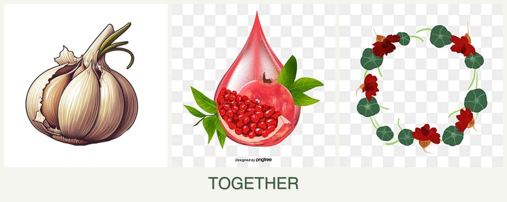 Can you plant garlic, pomegranates and nasturtiums together?