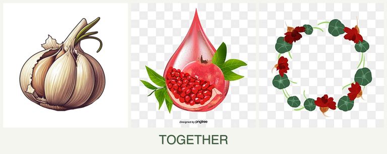 Can you plant garlic, pomegranates and nasturtiums together?